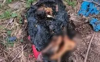 Công an tiếp nhận nhiều tin báo trong vụ trọng án phân xác tại Bình Dương