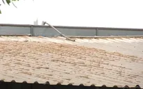 Tiền Giang: Nhiều nhà máy xay xát ở huyện Cái Bè gây ô nhiễm môi trường