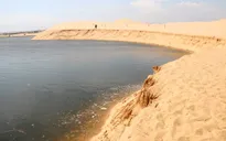 Xử lý tình trạng sạt lở ở đồi cát Bàu Trắng (Bình Thuận)