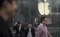 Vì sao Apple đứng ngoài "làn sóng" sa thải?