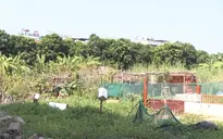 Hà Nội kiên quyết thu hồi các dự án trường học chậm triển khai