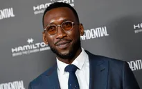 "Blade" của Marvel bị trì hoãn do cuộc đình công của các nhà biên kịch