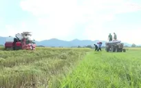 Hà Tĩnh nghiêm cấm hành vi bảo kê máy gặt lúa