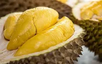 Sầu riêng Ri6 Việt Nam lần đầu có mặt tại Vương quốc Anh