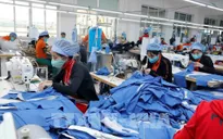 Những ngành nào có xu hướng tiếp tục cắt giảm lao động trong thời gian tới?
