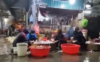 Khu dân cư bất an vì lò giết mổ gia súc, gia cầm tự phát