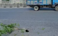Hố sâu 2,5m bất ngờ xuất hiện trên QL1