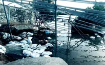 Bạc Liêu lại sạt lở, một nhà xưởng trôi sông