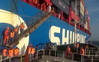Cứu kịp thời 5 ngư dân Bình Thuận bị chìm tàu trên biển