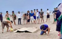 Đi tắm biển, ba em nhỏ đuối nước thương tâm