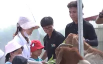 Từ Game thủ trở thành chủ nông trại vui vẻ