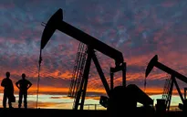OPEC+ cắt giảm sản lượng dầu: Thị trường dầu vẫn thờ ơ