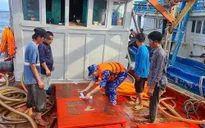 Cảnh sát biển bắt giữ tàu vận chuyển dầu DO trái phép trên biển