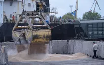 Nga xem xét rút khỏi thỏa thuận ngũ cốc