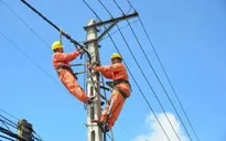 Tạm đình chỉ Giám đốc Trung tâm Điều độ hệ thống điện Quốc gia