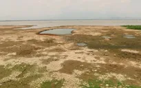Thái Lan đối mặt với nguy cơ hạn hán