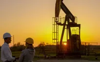 IEA: Nhu cầu dầu toàn cầu sẽ chững lại