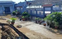 Sạt lở đất làm 2 căn nhà sụp xuống kênh ở Hậu Giang
