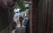 TP Hồ Chí Minh: Giám sát phát hiện nhiều điểm nguy cơ sốt xuất huyết