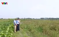 Khẩn trương xây dựng khu tái định cư để giải phóng mặt bằng Vành đai 4