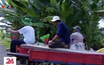 Người dân chủ động bàn giao mặt bằng thi công cao tốc