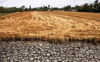 El Nino sẽ gây thiếu hụt mưa, hạn hán nhiều nơi trên cả nước
