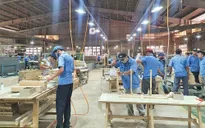Doanh nghiệp gỗ chưa được hoàn 6.100 tỷ đồng tiền thuế