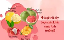 Các loại trái cây Việt Nam được xuất khẩu sang thị trường Anh