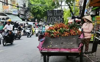 Vải thiều vào Nam, giá từ 26.000 đồng/kg