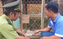 Phát hiện loài Diều hoa Miến Điện nguy cấp, quý hiếm tại Bình Phước