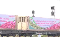 Đẩy mạnh xuất khẩu hàng hóa bằng đường sắt
