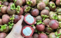 Ăn măng cụt xanh cần loại bỏ 2 bộ phận có thể gây độc
