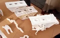 Nhà ở tương lai làm từ sợi nấm