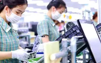 Cải cách thủ tục hành chính, cải thiện môi trường kinh doanh