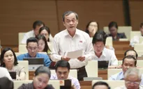 Nhiều ĐBQH đồng tình nâng thời hạn thị thực điện tử lên 3 tháng