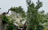 Nhật Bản kêu gọi người dân sơ tán tránh bão Mawar
