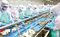 VASEP kiến nghị giảm lãi vay, giãn nợ cho doanh nghiệp thủy sản