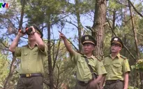 Nghệ An tăng cường phòng, chống cháy rừng