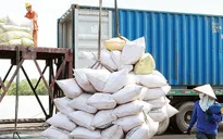 Gạo Việt đang có sức cạnh tranh lớn