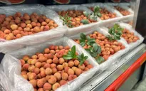 Vải thiều Bắc Giang giá gần 800.000 đồng/kg ở Mỹ
