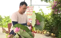 Tạo sự bền vững cho du lịch cộng đồng