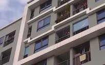 Cần thêm các chính sách phát triển nhà cho thuê