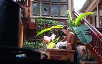 Cỗ sen - Ẩm thực mùa sen