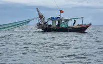 Bắt giữ 3 tàu khai thác thủy sản trái phép