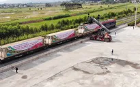 56 tấn vải thiều xuất khẩu chính ngạch bằng đường sắt