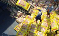 Xuất khẩu gạo 5 tháng đầu năm vượt 3 triệu tấn