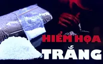 Nguồn cung cocaine bùng nổ trên toàn thế giới, Mỹ lo ngại nguy cơ từ ma túy mới Xylazine