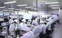 Phát triển Đảng trong doanh nghiệp ngoài Nhà nước
