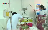 Đắk Lắk cảnh báo gia tăng các ca viêm não Nhật Bản