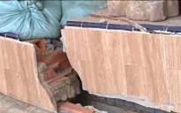 TP. Hồ Chí Minh: Di dời 13 hộ dân kênh Thanh Đa vì sạt lở